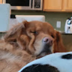 Meet your Posher, Brian